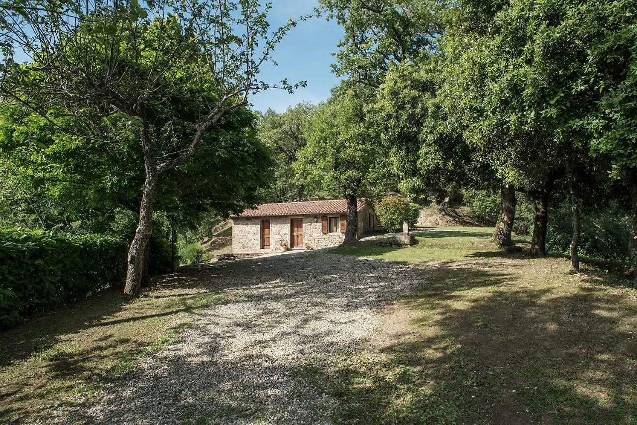Casa Rancacci Guest House Mercatale  0*, Mercatale (Arezzo)